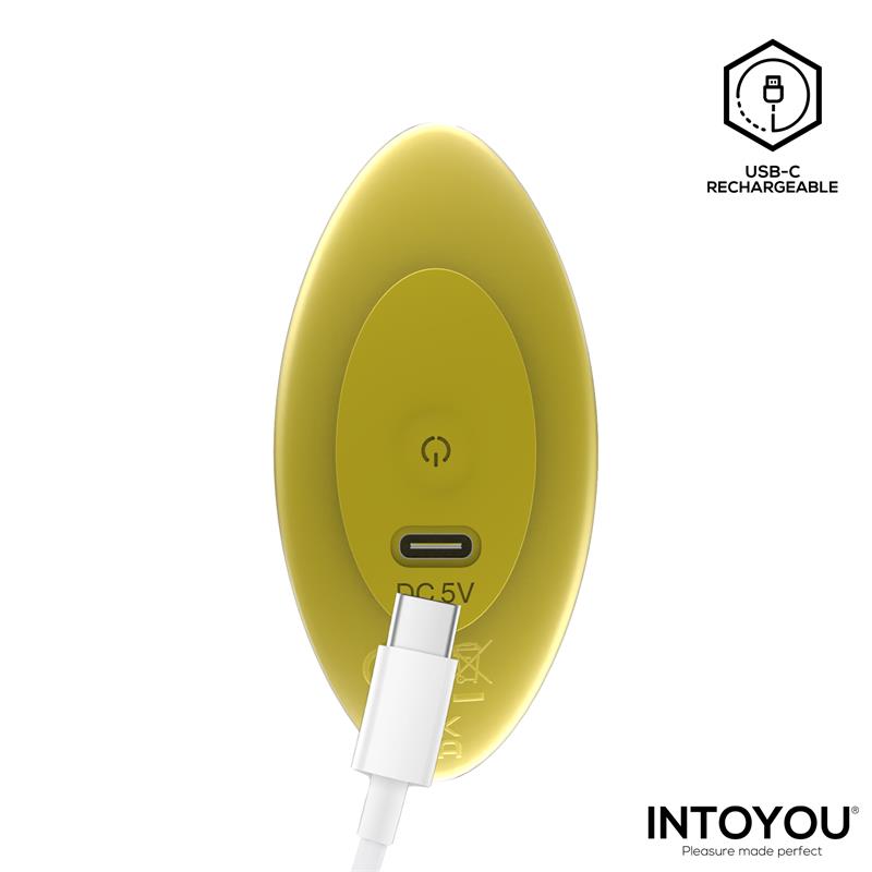 Auria Plug Anal con Vibracion y Control Remoto USB C