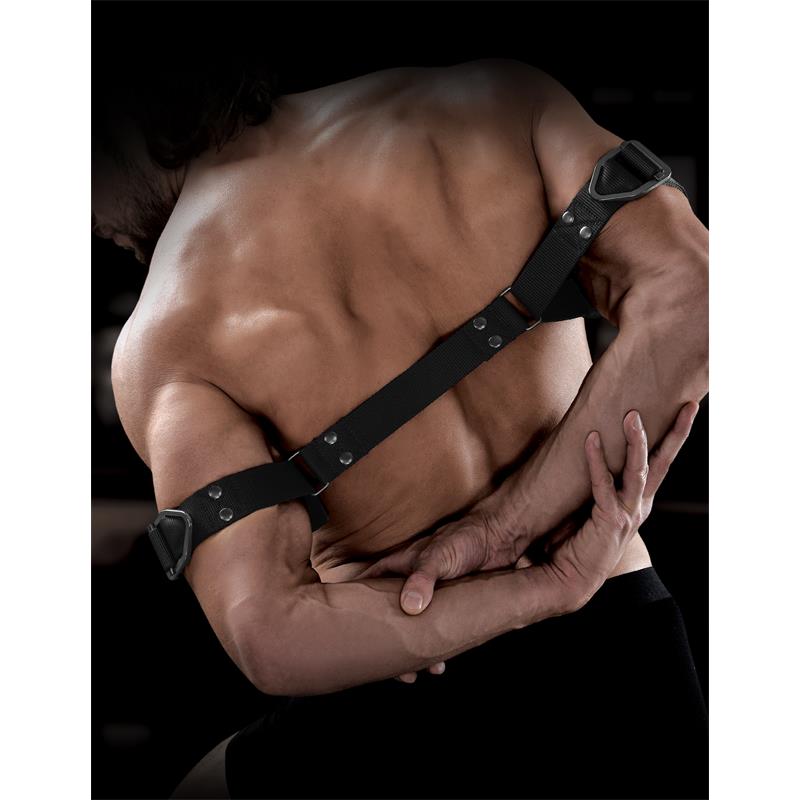 Correas para Biceps