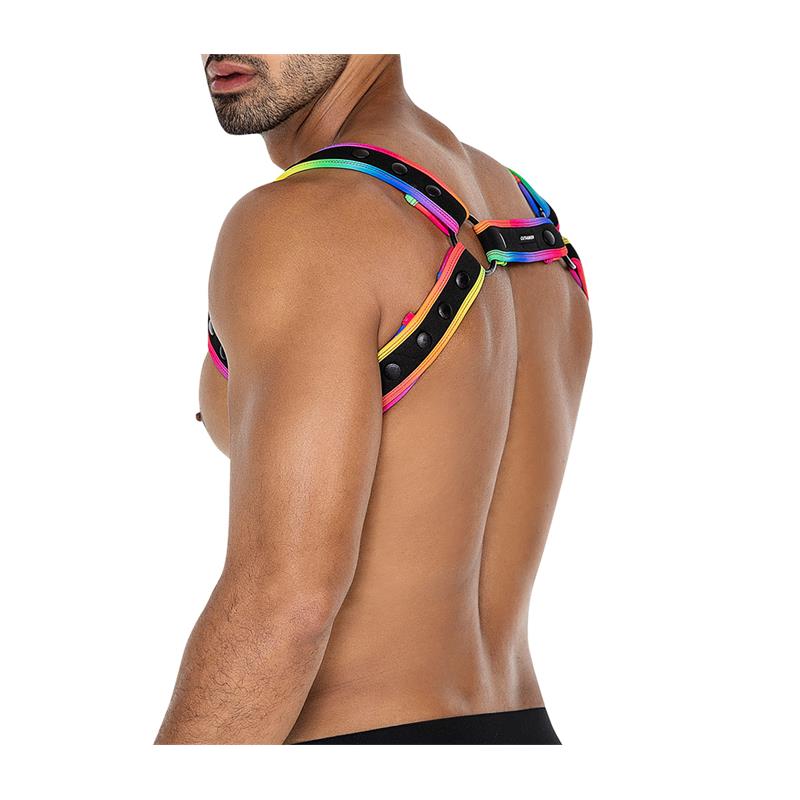 H4RNESS05 Arnes de Pecho Neon MultiColor Talla Unica