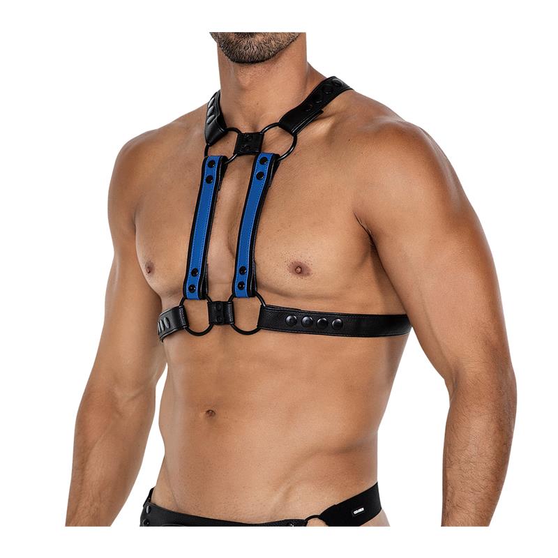 H4RNESS06 Arnes de Pecho 4WAY Azul Talla Unica