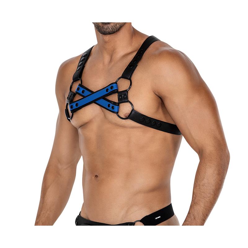 H4RNESS06 Arnes de Pecho 4WAY Azul Talla Unica